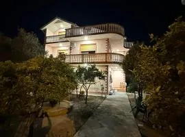THE DOMI Apartments