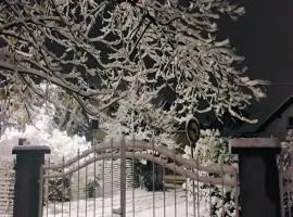 Gîte avec parking, au calme, entre Colmar-Riquewihr et Obernai ,marchés de Noël, 3 chambres, avec terrasse