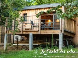 BNB TOULOUSE - Le Chalet des coteaux - Cadre magnifique - WiFi - Parking