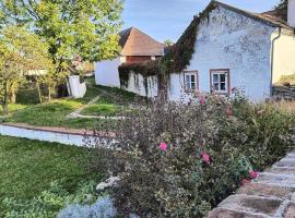Chaloupka u Mostu sv Jana v centru Vodňan, hotel ve Vodňanech