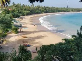 Mindiya Turtle Waves Talalla