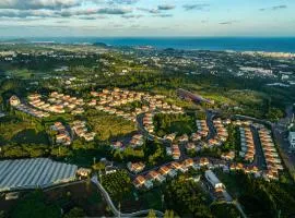 Camphortree Hotel and Resort