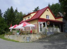 Rybářská Chata U Sumce, cheap hotel in Stříbro