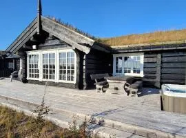 The Whole Beautiful Cabin With Jacuzzi A Luxurious Getaway in Solberglia