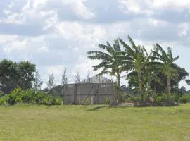 Farming In Rhythm