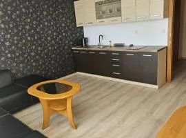 Apartmán pri Oravskej priehrade