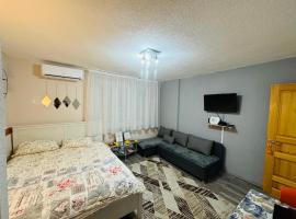 T&N Studio-Center-Free parking,AC,Train-Bus station, pet-friendly hotel in Sarajevo