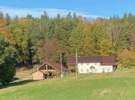 Agrowinnica