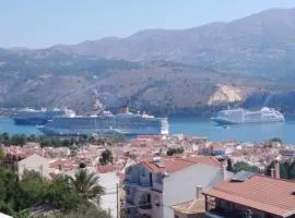 ELENA SEAVIEW house