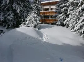 Courchevel 1850
