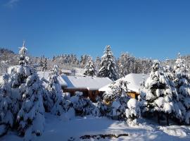 Відпочинково- оздоровчий комплекс ОПАКА з форельником, appartement à Skhidnitsa