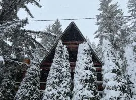 Vikendica Stjepko