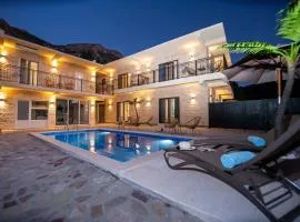 Stone Villa with pool Montenegro Star