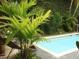 Timeless Oasis Hostel