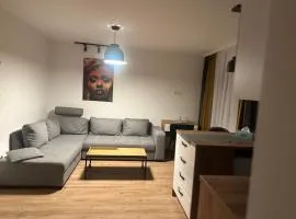 Apartament 1 Cameră Suceava