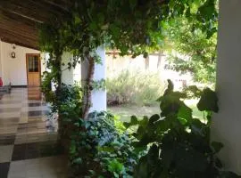 Hotel del Alto