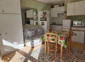 Appartement à GOURETTE, résidence EURONEIGE, avec balcon, vue idéale sur la montagne - 6 personnes