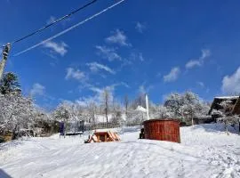 Pensiunea Cabana Viselor ,Apuseni
