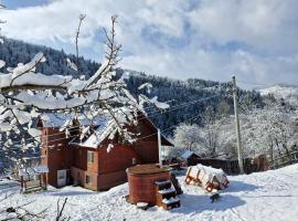 Pensiunea Cabana Viselor ,Apuseni