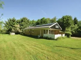 Three-Bedroom Holiday Home In Oster Assels