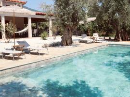Iriti's Villa, hotel in Platanidia