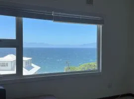 Simons Town penquins