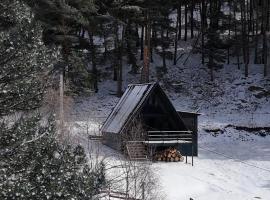 Mountain Waltz by Elia Glamping, hotel en Kazbegi