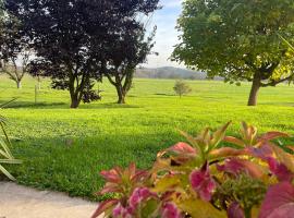FeWo - Natur, Ruhe und Erholung, hotel i Wangen im Allgäu