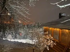 Batkivska Svitlitsa NEW Без господарів