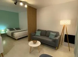 Le Girouard - City Center - Private Parking - WIFI, NETFLIX
