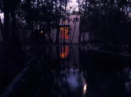 barefoot jungle studios