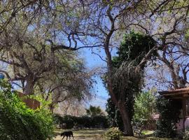 Casa Luz y Armonía、ビジャ・ラス・ロサスのホテル