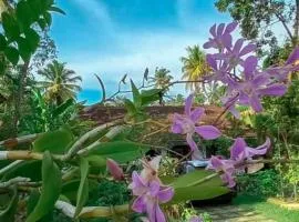 Farming Hostel Ahangama