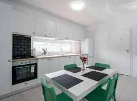 Vila Magurele 5