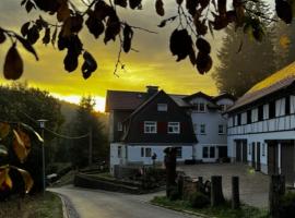 Waldgasthof Zur Vesser: Suhl şehrinde bir otel