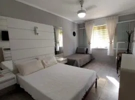 Cavalinho Branco 215