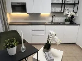 Vila Milada