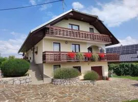 Spacious Countryside Flat - 25 minutes from Ljubljana