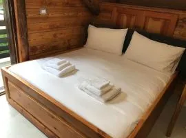 Tiny Charming Apartment close to the ski slopes