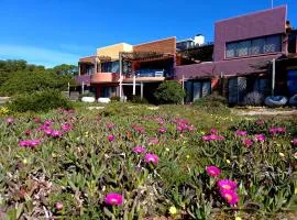 Absolute Beach Accommodation
