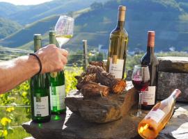 Weingut & Gästehaus Andreas Erz, hotel v destinaci Brauneberg