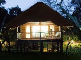 Ubizane Zululand Tree Lodge