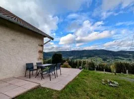 Appartement chaleureux, 2-4 pers, Vosges, Animaux admis - FR-1-589-685