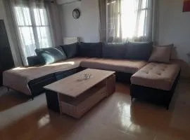 Elena's Family House