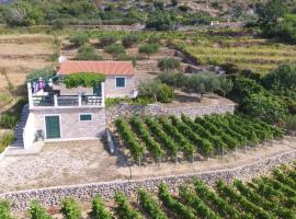 Holiday Home Vineyard house, hotel in Bol