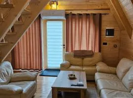 Wilderness Cabin
