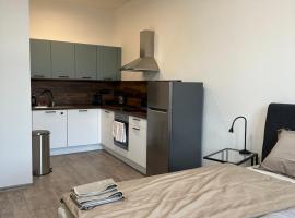 Apartmán Palackého, hotel v Táboře