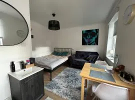 Ally's Urban Cozy Studio Juhkentali 42 Tallinn city centre airport next to bus station