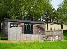 Honeysuckle Hut