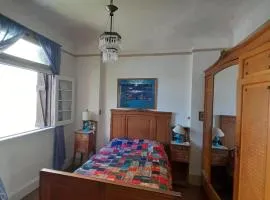 Alsina Surf House